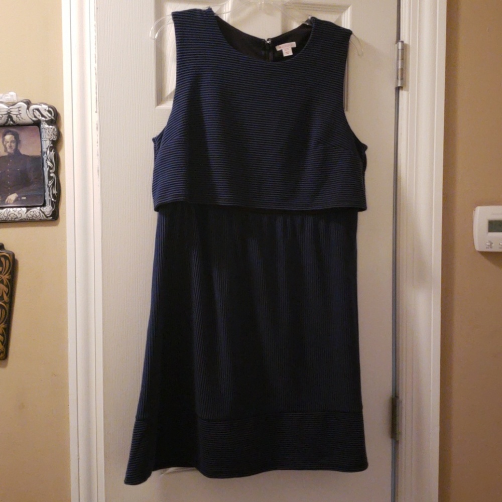 Blue & Black Striped Dress